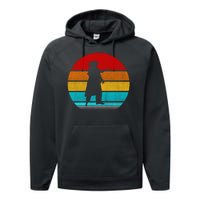 Retro Vintage Pirate Performance Fleece Hoodie