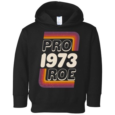 Retro VIntage Pro Roe 1973 Toddler Hoodie