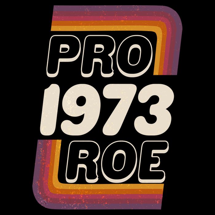Retro VIntage Pro Roe 1973 Women's V-Neck T-Shirt
