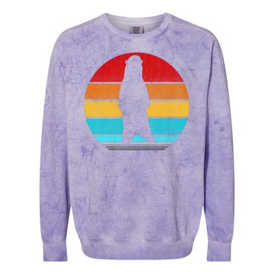 Retro Vintage Polar Bear Colorblast Crewneck Sweatshirt