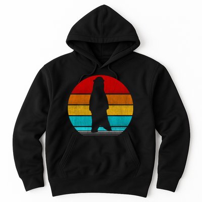 Retro Vintage Polar Bear Hoodie