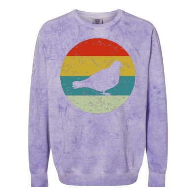 Retro Vintage Pigeon Colorblast Crewneck Sweatshirt