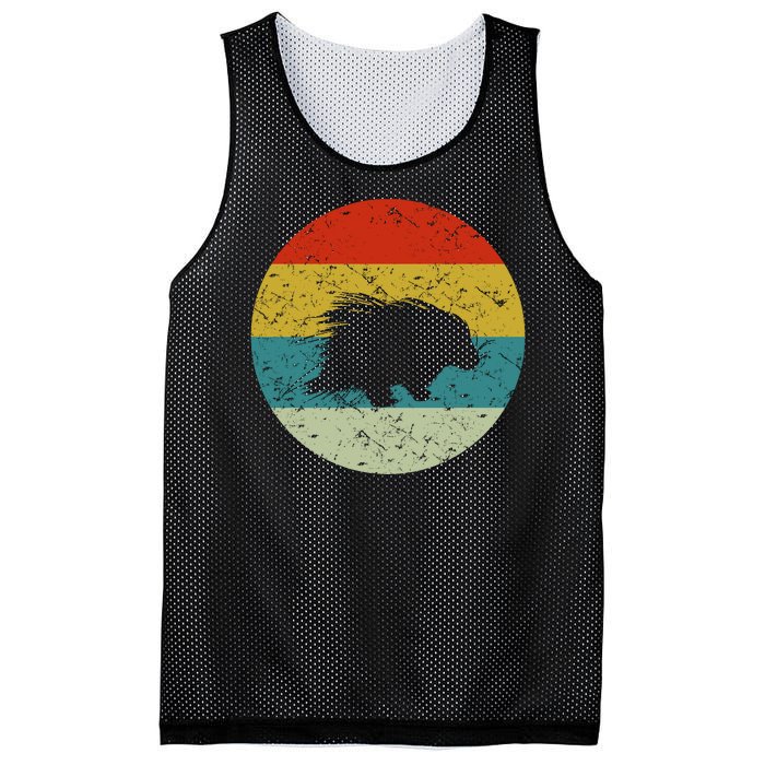 Retro Vintage Porcupine Mesh Reversible Basketball Jersey Tank