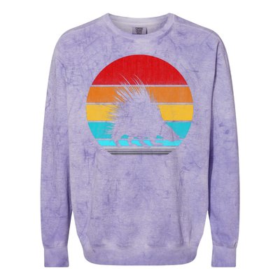 Retro Vintage Porcupine Colorblast Crewneck Sweatshirt