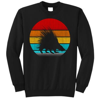 Retro Vintage Porcupine Sweatshirt