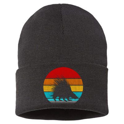 Retro Vintage Porcupine Sustainable Knit Beanie