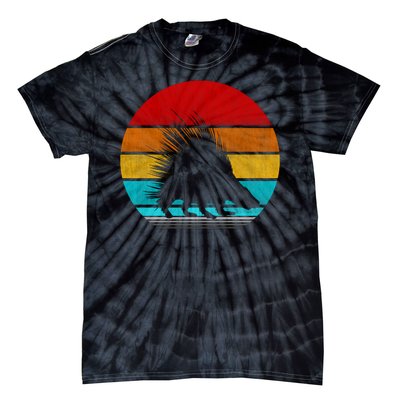 Retro Vintage Porcupine Tie-Dye T-Shirt