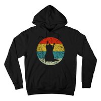 Retro Vintage Raccoon Hoodie