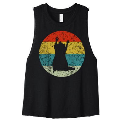 Retro Vintage Raccoon Women's Racerback Cropped Tank