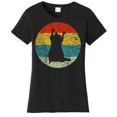 Retro Vintage Raccoon Women's T-Shirt