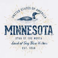 Retro Vintage State Of Minnesota T-Shirt