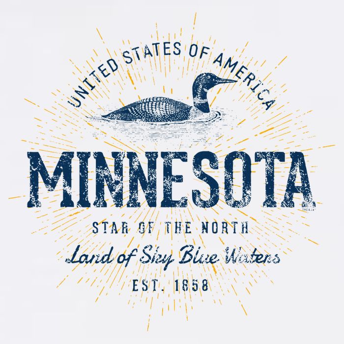 Retro Vintage State Of Minnesota T-Shirt