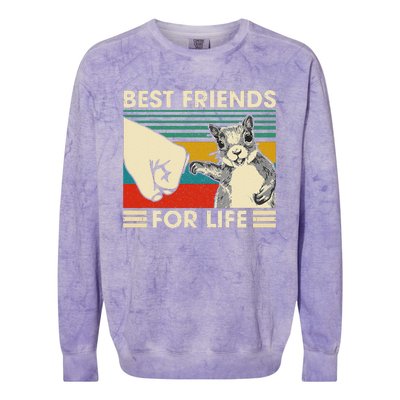 Retro Vintage Squirrel Best Friend For Life Fist Bump Colorblast Crewneck Sweatshirt