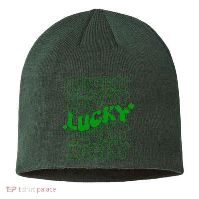 Retro Vintage St Patricks Day Lucky Sustainable Beanie