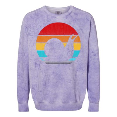 Retro Vintage Snail Colorblast Crewneck Sweatshirt