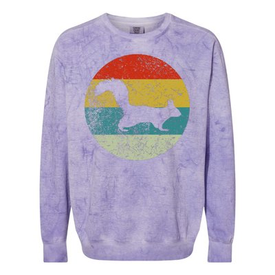 Retro Vintage Squirrel Colorblast Crewneck Sweatshirt