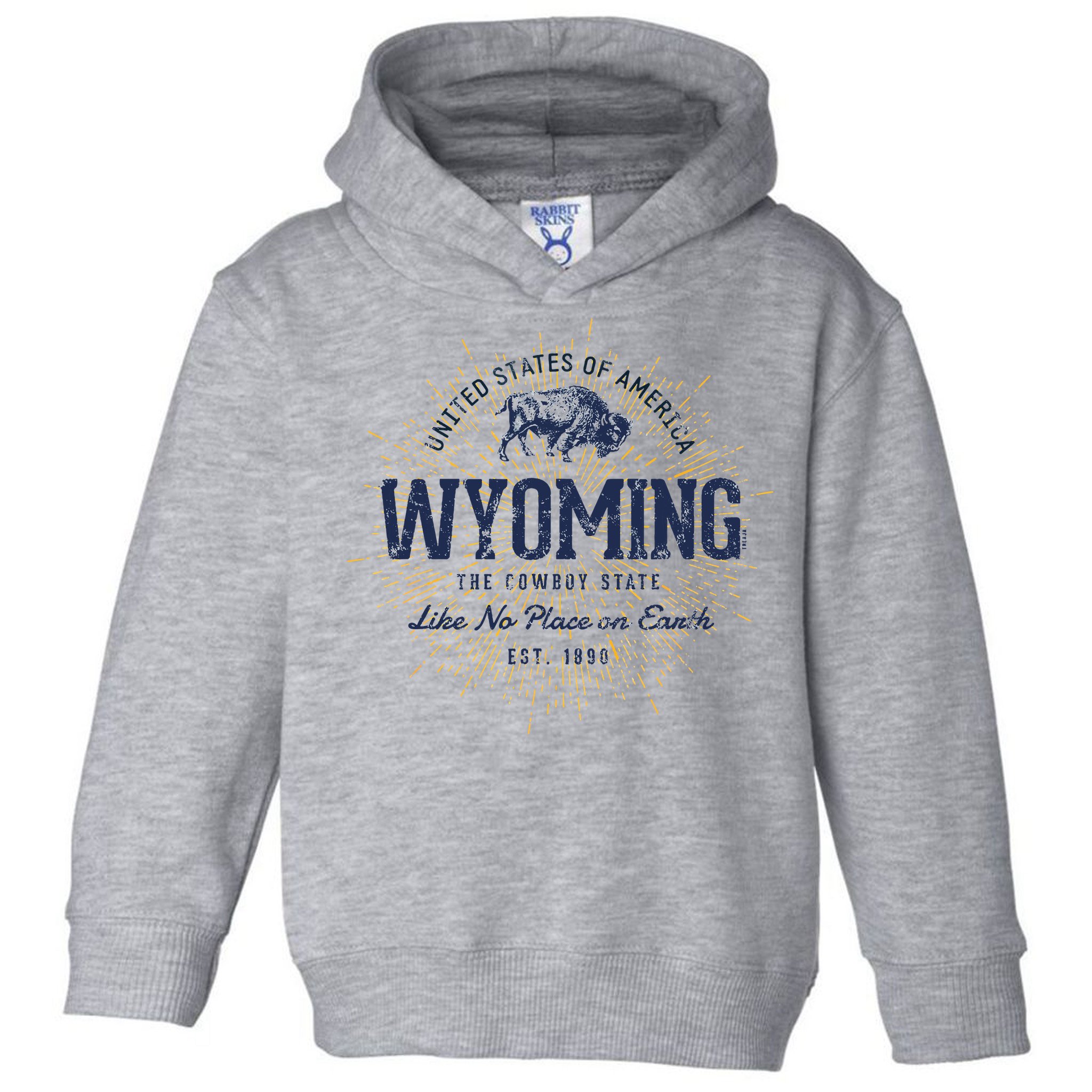 Retro Vintage State Of Wyoming Toddler Hoodie