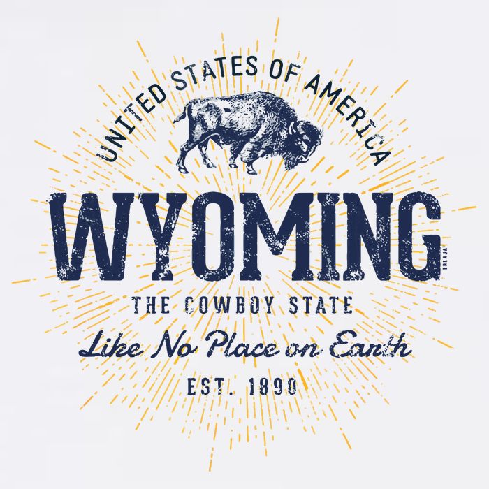 Retro Vintage State Of Wyoming Toddler T-Shirt