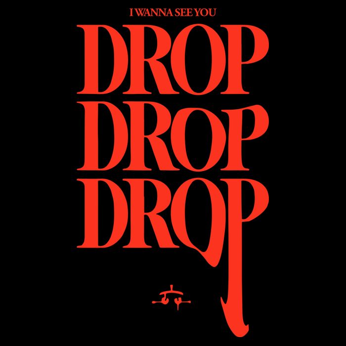 Ray Volpe See You Drop Crop Top