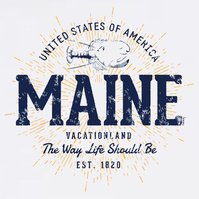 Retro Vintage State Of Maine Kids T-Shirt