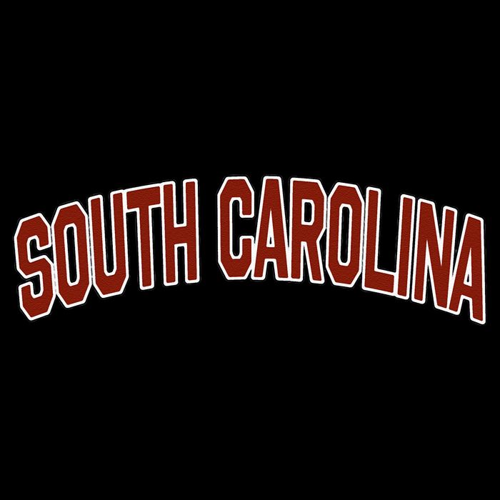 Retro Vintage South Carolina State South Carolina Varsity Toddler T-Shirt