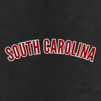 Retro Vintage South Carolina State South Carolina Golf Towel