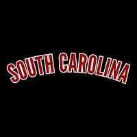 Retro Vintage South Carolina State South Carolina Kids T-Shirt