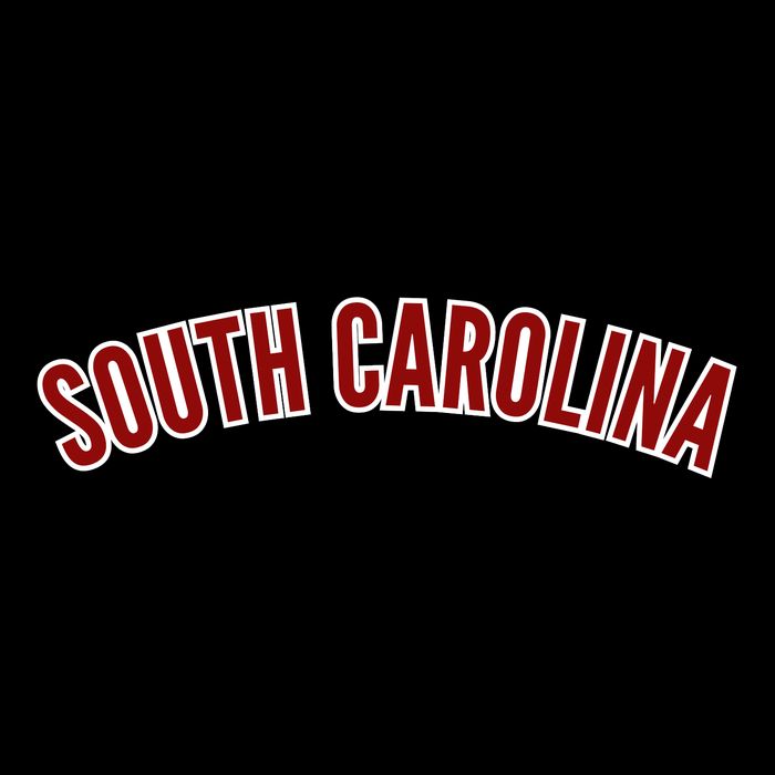 Retro Vintage South Carolina State South Carolina Kids T-Shirt