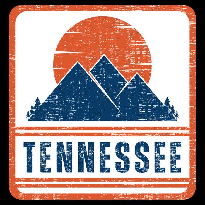 Retro Vintage Tennessee USA Mountain Gift For Men Bucket Hat