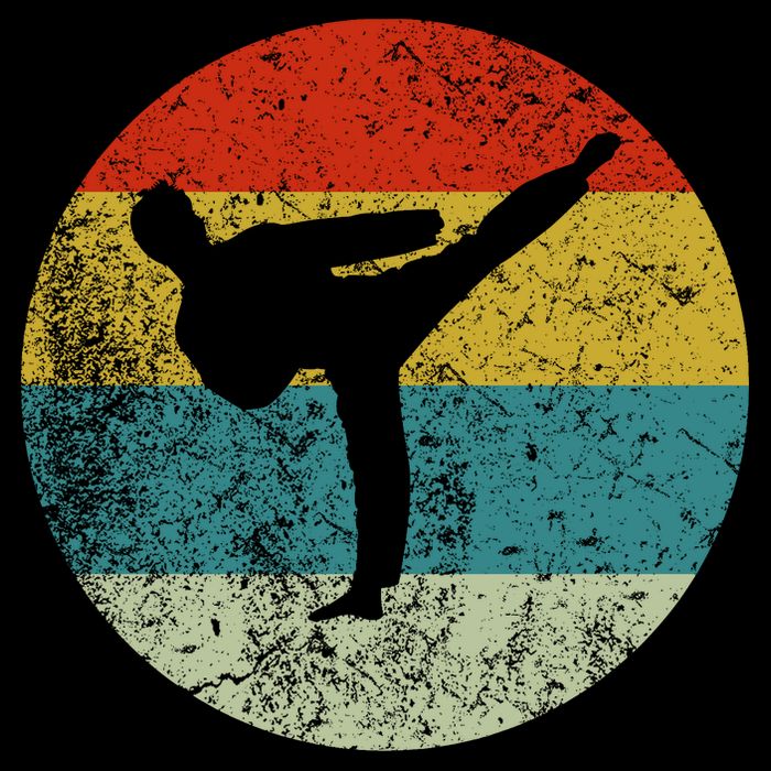 Retro Vintage Taekwondo Long Sleeve Shirt