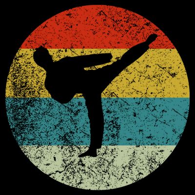Retro Vintage Taekwondo T-Shirt