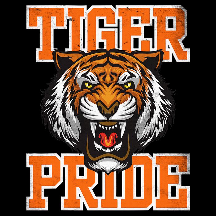 Retro Vintage Tiger Pride Tiger Mascot School Sports Team T-Shirt