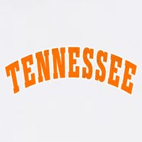 Retro Vintage Tennessee State Souvenir Gift Of Oklahoma Gift Bucket Hat