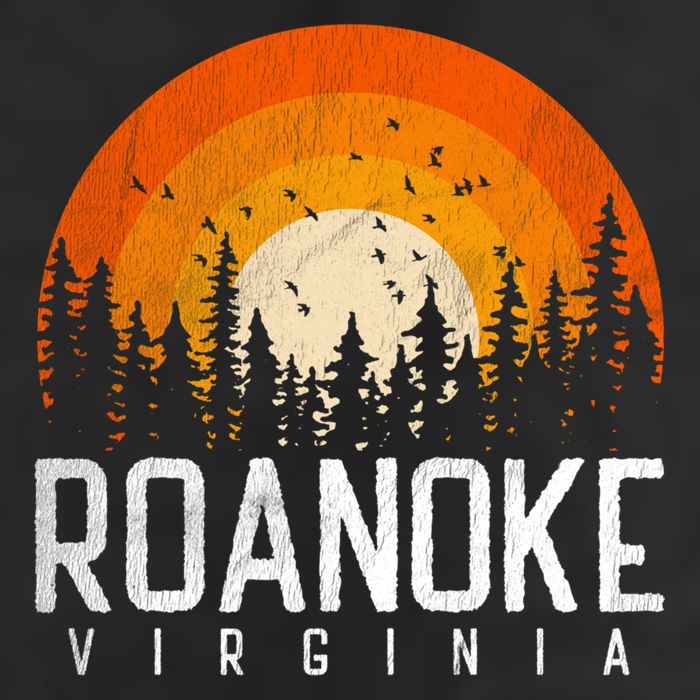 Roanoke Virginia Va Funny Gift Vintage 70s 80s 90s Retro Gift Funny Gift Hat