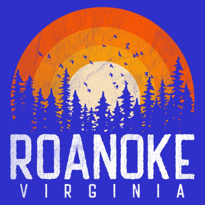 Roanoke Virginia Va Funny Gift Vintage 70s 80s 90s Retro Gift Funny Gift Visor