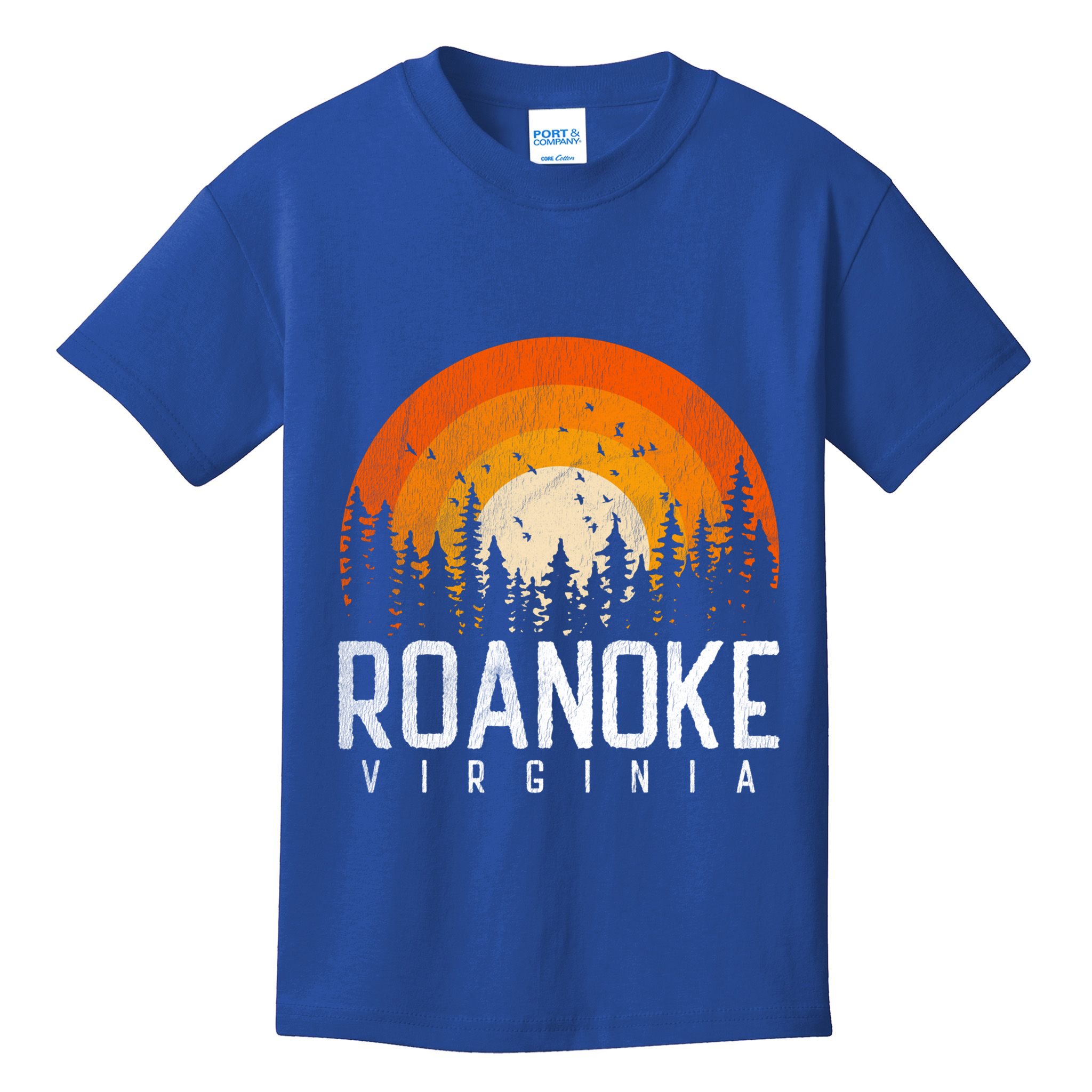 Roanoke Virginia Va Funny Gift Vintage 70s 80s 90s Retro Gift Funny Gift Kids T-Shirt