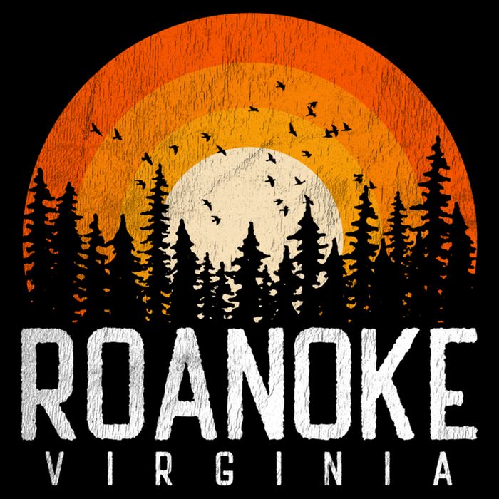 Roanoke Virginia Va Funny Gift Vintage 70s 80s 90s Retro Gift Cute Gift Bucket Hat