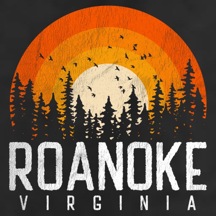 Roanoke Virginia Va Funny Gift Vintage 70s 80s 90s Retro Gift Cute Gift Hat