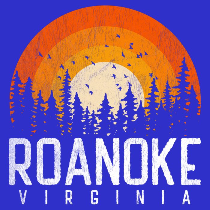 Roanoke Virginia Va Funny Gift Vintage 70s 80s 90s Retro Gift Cute Gift Kids T-Shirt