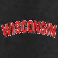 Retro Vintage Wisconsin State Wisconsin Varsity Tumbler
