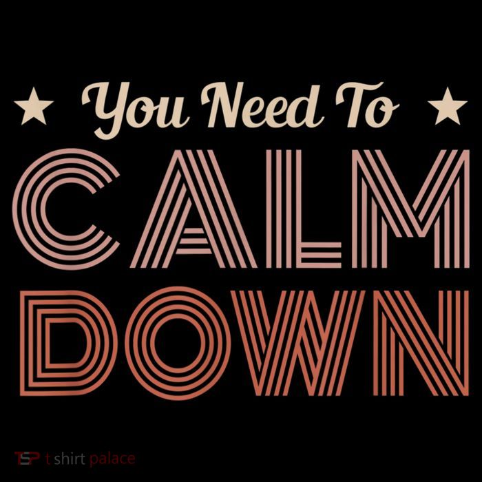Retro Vintage You Need To Calm Down Funny Quotes Sweatshirt