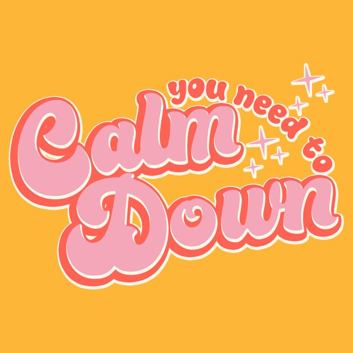 Retro Vintage You Need To Calm Down Premium T-Shirt