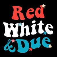 Red White And Due 4th Of July USA Baby Reveal American Poster