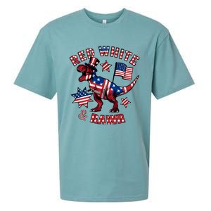 Red White And Rawr America Patriotic Sueded Cloud Jersey T-Shirt