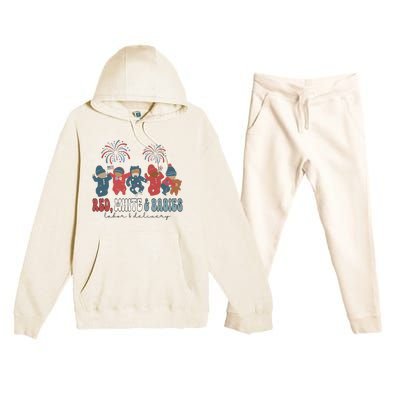 Red White And Babies Labor And Delivery Nurse 4th Of July Premium Hooded Sweatsuit Set