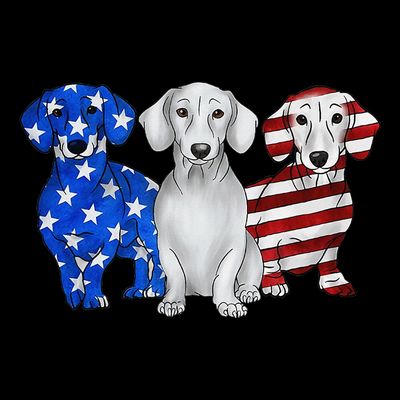 Red White Blue Dachshund American Flag 4th Of July Patriot T-Shirt