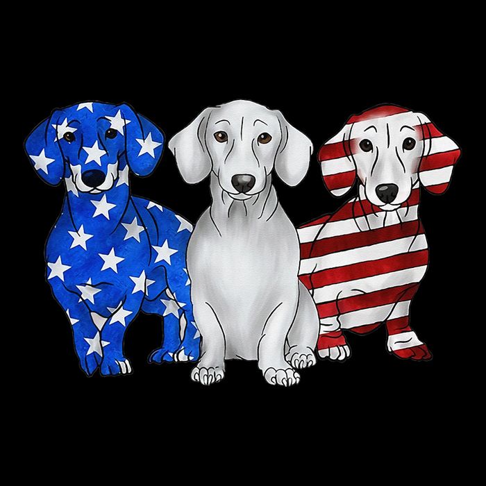 Red White Blue Dachshund American Flag 4th Of July Patriot Impact Tech Backpack