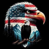 Red White Blue Bald Eagle American Flag For 4th Of July Gift Cooling Performance Crew T-Shirt