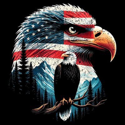 Red White Blue Bald Eagle American Flag For 4th Of July Gift T-Shirt