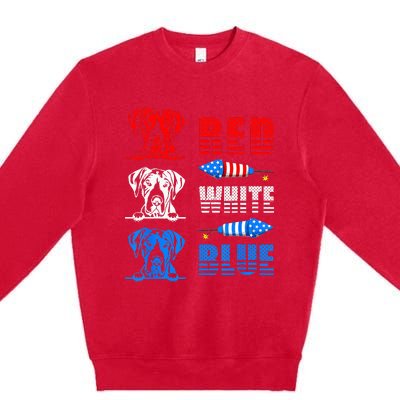 Red White Blue Three Cute Great Dane 4th July American Flag Premium Crewneck Sweatshirt